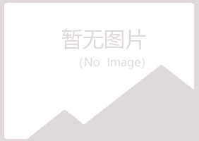 长治治城夏日咨询有限公司